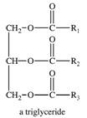 <strong>Dietary fats and oils are structurally both triglycerides, but fats are solids and oils are liquids at room temperature.Which of the following best describes the reason for their difference in physical state? </strong> A)Fats contain 3 identical fatty acid R groups and oils contain different R groups. B)Oils contain 3 identical fatty acid R groups and fats contain different R groups. C)Oils contain longer fatty acid R groups than fats do. D)Fats contain more hydroxyl groups in their fatty acid R groups than oils do. E)Oils contain a higher percentage of unsaturation in their fatty acid R groups than fats do.