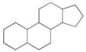 <strong>Which type of lipid always contains the carbon skeleton structure shown? </strong> A)lipoproteins B)glycerides C)phospholipids D)sphingolipids E)steroids