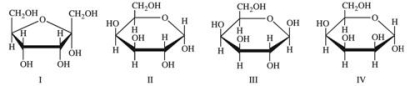 <strong>Monosaccharides exist predominantly as cyclic hemiacetals.Cyclic hemiacetals have both an α and a β form.Which of the following monosaccharides are shown in the β form? </strong> A)III only B)IV only C)I and III D)II and IV E)All are shown in the β form.