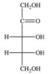 <strong>The Fischer projection for the monosaccharide ribulose is shown below.How may this monosaccharide be appropriately classified? </strong> A)ketotetrose B)ketopentose C)aldotriose D)aldopentose E)ketotriose