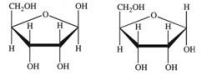<strong>What term properly describes the relationship between the two compounds shown? </strong> A)betamers B)constitutional isomers C)enantiomers D)anomers E)unrelated