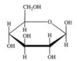 <strong>Gentobiose, a rare disaccharide found in saffron, produces two identical monosaccharides when it undergoes hydrolysis.What is the structure of the monosaccharide hydrolysis product? </strong> A) B) C) D) <sup>E.</sup> None of these are correct.