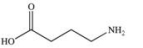 <strong>4-Amino butanoic acid (common name GABA) is a neurotransmitter found in the brain's nerve cells.Which of the following properly represents the structure of this compound?</strong> A) B) C) D) E)