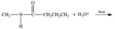 <strong>Acid-catalyzed hydrolysis of amides is an important reaction because it represents the first step in the digestion of dietary protein.Which of the following compounds is formed as a result of the acid-catalyzed hydrolysis of N-methylbutanamide? </strong> A)CH<sub>3</sub>CHCH<sub>2</sub>CH<sub>2</sub>CH<sub>2</sub>CH<sub>3</sub> B)NH<sub>2</sub>CH<sub>2</sub>CH<sub>2</sub>CH<sub>2</sub>CH<sub>3</sub> C)CH<sub>3</sub>NH<sup>+</sup><sub>3</sub> D)CH<sub>3</sub>NH<sub>2</sub> E)