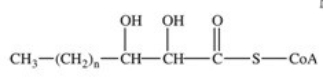 <strong>The fourth reaction in β-oxidation of fatty acids is shown below and involves the oxidation of the β-carbon.What is the product of this reaction? </strong> A) B) C) D) E)