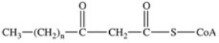 <strong>The fourth reaction in β-oxidation of fatty acids is shown below and involves the oxidation of the β-carbon.What is the product of this reaction? </strong> A) B) C) D) E)