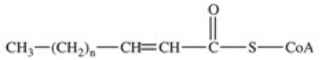 <strong>The fourth reaction in β-oxidation of fatty acids is shown below and involves the oxidation of the β-carbon.What is the product of this reaction? </strong> A) B) C) D) E)