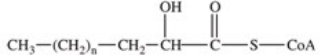 <strong>The fourth reaction in β-oxidation of fatty acids is shown below and involves the oxidation of the β-carbon.What is the product of this reaction? </strong> A) B) C) D) E)