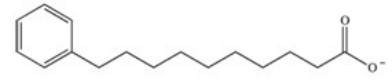 <strong>What products are formed in the complete β-oxidation of the ω-labeled fatty acid 10-phenyldecanoic acid,shown below? </strong> A) B) C) D) E)This compound does not undergo β-oxidation.