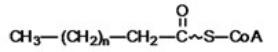 <strong>The structure below represents a fatty acyl CoA molecule,formed in the first step of β-oxidation of a fatty acid.Which of the following statements concerning this compound is TRUE? </strong> A)The wavy line indicates a partially formed thioester bond. B)The wavy line indicates an ionic bond between the fatty acid and coenzyme A. C)The wavy line indicates a high-energy thioester bond. D)The wavy line indicates a highly polar bond between the fatty acid and coenzyme A. E)The wavy line indicates a partially formed disulfide bond.