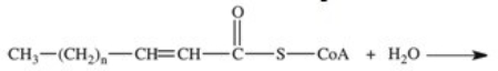 <strong>The third reaction in β-oxidation of fatty acids is shown below,and involves hydration of the double bond.What is the product of this reaction? </strong> A) B) C) D) E)