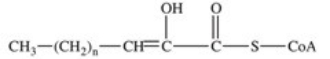 <strong>The third reaction in β-oxidation of fatty acids is shown below,and involves hydration of the double bond.What is the product of this reaction? </strong> A) B) C) D) E)