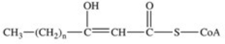 <strong>The third reaction in β-oxidation of fatty acids is shown below,and involves hydration of the double bond.What is the product of this reaction? </strong> A) B) C) D) E)