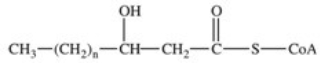<strong>The third reaction in β-oxidation of fatty acids is shown below,and involves hydration of the double bond.What is the product of this reaction? </strong> A) B) C) D) E)