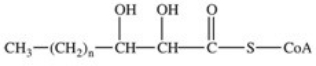 <strong>The third reaction in β-oxidation of fatty acids is shown below,and involves hydration of the double bond.What is the product of this reaction? </strong> A) B) C) D) E)