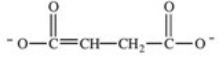 <strong>Step 6 in the citric acid cycle involves the dehydrogenation of succinate.What is the product of this reaction? </strong> A) B) C) D)