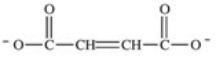 <strong>Step 6 in the citric acid cycle involves the dehydrogenation of succinate.What is the product of this reaction? </strong> A) B) C) D)