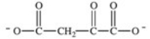 <strong>Step 6 in the citric acid cycle involves the dehydrogenation of succinate.What is the product of this reaction? </strong> A) B) C) D)