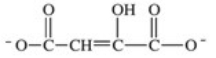 <strong>The enzyme fumarase catalyzes the hydration of fumarate in step 7 of the citric acid cycle.What is the product of this reaction? </strong> A) B) C) D) E)HOCH<sub>2</sub>CH<sub>2</sub>OH