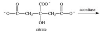 <strong>Which of the following compounds is aconitate,the intermediate produced when the enzyme aconitase catalyzes the dehydration of citrate? </strong> A) B) C) D) E)