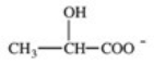 <strong>In addition to glutamate,what other compound is produced in the transamination reaction in which alanine and α-ketoglutarate react? </strong> A)CH<sub>3</sub>CH<sub>2</sub>COO<sup>−</sup> B)CO<sub>2</sub> C) D) E)