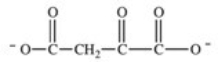 <strong>Oxaloacetate is the starting material in the first step of the citric acid cycle and the product of the last step.The last step of the citric acid cycle,the oxidation of malate,is shown below.What is the structure of the oxaloacetate product? </strong> A) B) C) D) E)