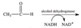<strong>The last step in alcohol fermentation involves the reduction of acetaldehyde and the oxidation of NADH.What is the structure of the reduction product? </strong> A) B) C) D)CH<sub>3</sub>CH<sub>2</sub>OH E)CH<sub>3</sub>CH<sub>3</sub> <sub