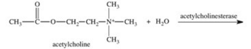 <strong>The enzyme acetylcholinesterase catalyzes the hydrolysis of acetylcholine.Which of the following is a product of this hydrolysis reaction? </strong> A) B) C) D) E)