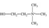 <strong>The enzyme acetylcholinesterase catalyzes the hydrolysis of acetylcholine.Which of the following is a product of this hydrolysis reaction? </strong> A) B) C) D) E)