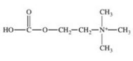 <strong>The enzyme acetylcholinesterase catalyzes the hydrolysis of acetylcholine.Which of the following is a product of this hydrolysis reaction? </strong> A) B) C) D) E)