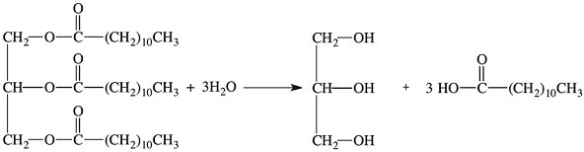 <strong>What class of enzymes catalyzes the following reaction? </strong> A)hydrogenase B)catalase C)isomerase D)elastase E)lipase