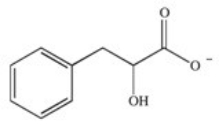 <strong>Phenylketonuria (PKU)is an inherited disease caused by the inability to produce a properly working form of the enzyme phenylalanine hydroxylase.This enzyme catalyzes the conversion of the amino acid phenylalanine to the amino acid tyrosine by adding a hydroxyl group to the para position on the ring.Based on this information,what is the structure of tyrosine (Tyr)? </strong> A) B) C) D) E)