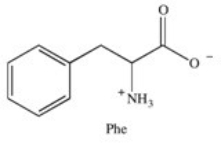 <strong>The properties of amino acids and the proteins they compose are based on the nature of their side chain group.Which term best classifies the side chain of the amino acid phenylalanine?  </strong> A)basic B)acidic C)nonpolar,hydrophobic D)polar,neutral E)polar,hydrophilic <div style=padding-top: 35px> 