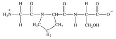 <strong>Which of the statements concerning the peptide shown below is FALSE?  </strong> A)It is a tripeptide. B)Its primary structure is Gly-Pro-Ser. C)There are two peptide bonds. D)The carboxyl group of Pro is joined to the amino group of Ser. E)The peptide contains only hydrophobic amino acid residues. <div style=padding-top: 35px> 