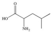 <strong>2-Amino-4-methylpentanoic acid (common name leucine)is an essential amino acid found in the proteins of the human body.Which of the following properly represents the structure of this compound?</strong> A)   B)   C)   D)   E)   <div style=padding-top: 35px> 