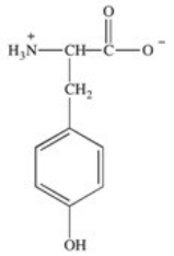 <strong>How is the following amino acid categorized? The structure shows its form at pH = 7.  </strong> A)hydrophobic B)polar,acidic C)polar,basic D)polar,neutral E)None of the choices are correct. <div style=padding-top: 35px> 