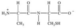 <strong>Which of the following properly represents the dipeptide with the primary structure Ala-Cys?</strong> A)   B)   C)   D)   E)   <div style=padding-top: 35px> 