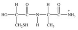 <strong>Which of the following properly represents the dipeptide with the primary structure Ala-Cys?</strong> A)   B)   C)   D)   E)   <div style=padding-top: 35px> 