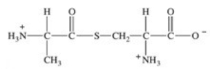 <strong>Which of the following properly represents the dipeptide with the primary structure Ala-Cys?</strong> A)   B)   C)   D)   E)   <div style=padding-top: 35px> 