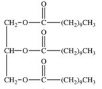 <strong>A tube of lipstick lists capric triglyceride among its ingredients.Capric triglyceride is a simple triglyceride containing capric acid,a 10-carbon saturated fatty acid.What is the structure of capric triglyceride?</strong> A) B) C) D) E)