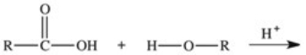 <strong>What two products are formed in the reaction between a fatty acid and an alcohol? </strong> A)ester and hydrogen B)ester and water C)ether and water D)ether and hydrogen E)hydrogen and alkane