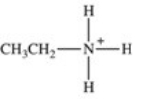 <strong>Which of the following correctly represents how ethylamine would exist when dissolved in an acidic solution?</strong> A)CH<sub>3</sub>CH<sub>2</sub>NH<sub>2</sub> B)CH<sub>3</sub>CH<sub>2</sub>NH<sup>−</sup> C) D) E)