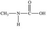 <strong>Acid-catalyzed hydrolysis of amides is an important reaction because it represents the first step in the digestion of dietary protein.Which of the following compounds is formed as a result of the acid-catalyzed hydrolysis of N-methylbutanamide? \mathrm{CH}_{2} \mathrm{CH}_{2} \mathrm{CH}_{3}+\mathrm{H}_{3} \mathrm{O}^{+} \stackrel{\text { heat }}{\longrightarrow} </strong> A)CH<sub>3</sub>CHCH<sub>2</sub>CH<sub>2</sub>CH<sub>2</sub>CH<sub>3</sub> B)NH<sub>2</sub>CH<sub>2</sub>CH<sub>2</sub>CH<sub>2</sub>CH<sub>3</sub> C)CH<sub>3</sub>NH<sup>+</sup><sub>3</sub> D)CH<sub>3</sub>NH<sub>2</sub> E)