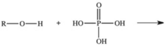 <strong>The reaction shown below between an alcohol and phosphoric acid produces a phosphoester.What is the general structure of a phosphoester? </strong> A) B) C) D) E)