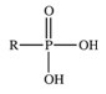 <strong>The reaction shown below between an alcohol and phosphoric acid produces a phosphoester.What is the general structure of a phosphoester? </strong> A) B) C) D) E)