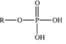 <strong>The reaction shown below between an alcohol and phosphoric acid produces a phosphoester.What is the general structure of a phosphoester? </strong> A) B) C) D) E)