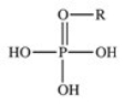 <strong>The reaction shown below between an alcohol and phosphoric acid produces a phosphoester.What is the general structure of a phosphoester? </strong> A) B) C) D) E)