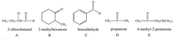 <strong>Which structure/name combination is incorrect? </strong> A)A B)B C)C D)D E)E