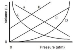<strong>In the graph shown,which line is the best representation of Boyle's Law regarding behavior of a gas? </strong> A)A B)B C)C D)D E)E