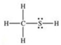 <strong>What is the Lewis structure of methanethiol,CH<sub>3</sub>SH?</strong> A) B) C) D) E)